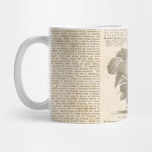 Vintage Botanist Illustrations Text Book Gothic Victorian Dark Academia Plant Lover Pattern Mug